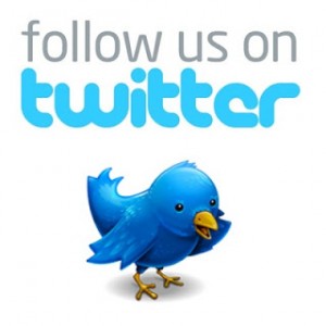 follow-us-on-twitter-bird-300x300