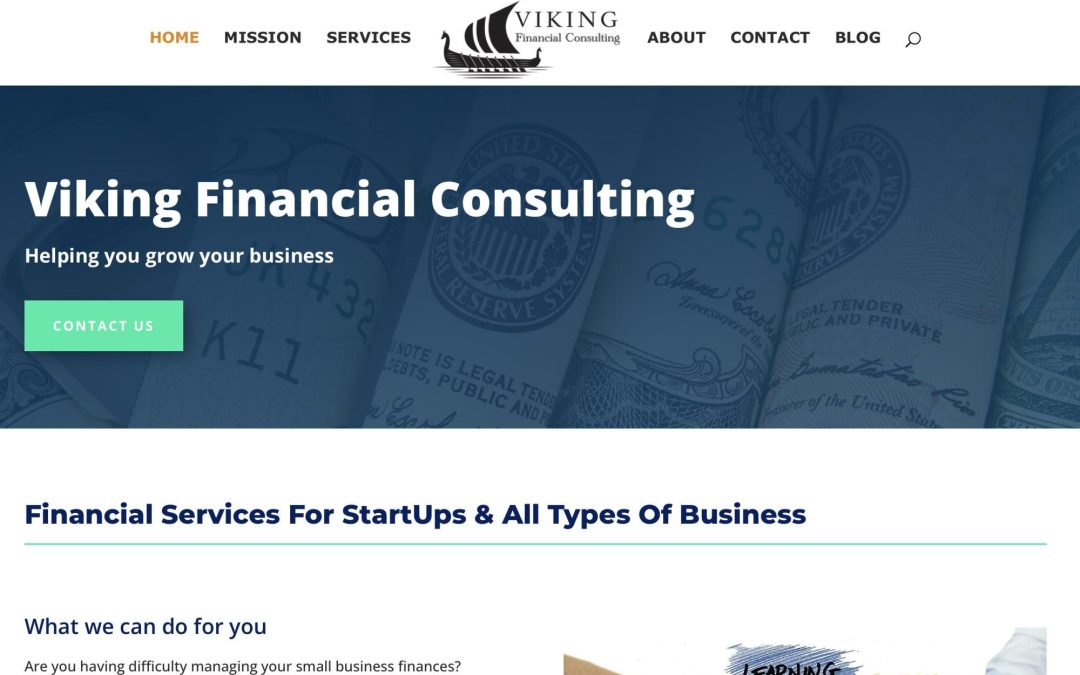 Viking Financial Consulting